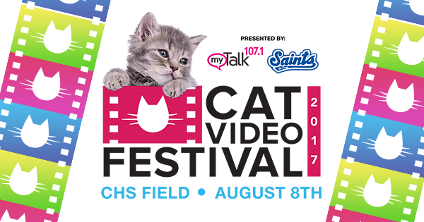 Watch Cat Run Online (2017)